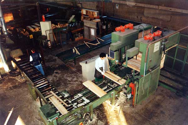 catena di lavorazione pallets legno